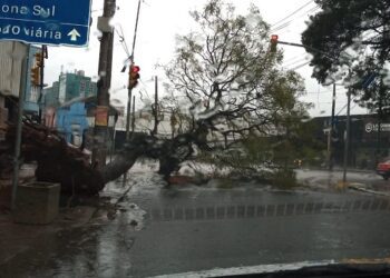 transito eptc temporal