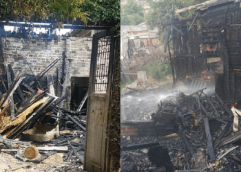 Materia Restinga Itu@2x