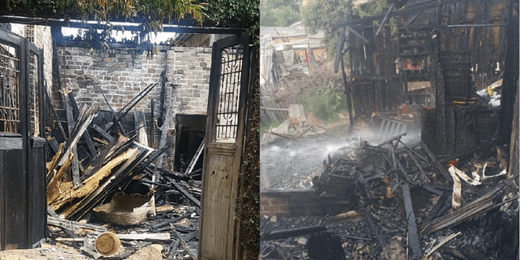 Materia Restinga Itu@2x