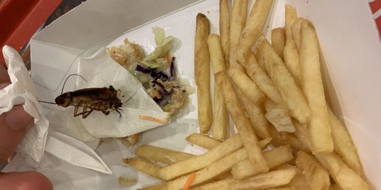 2912 Barata na Comida