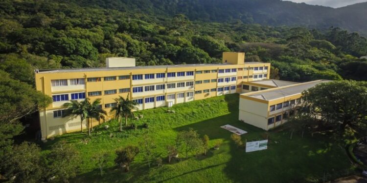 Foto Agencia Preview