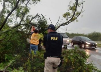 Foto Policia Rodoviaria Federal Divulgacao Guaiba