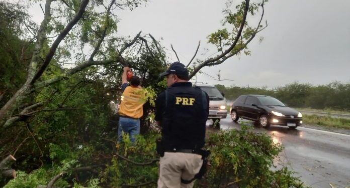 Foto Policia Rodoviaria Federal Divulgacao Guaiba