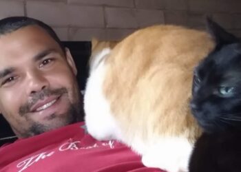 Protetor dos animais morto em capela santana