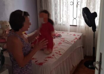 Domestica Resgatada campo bom mpt