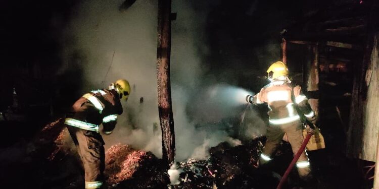 Incendio Portao Bombeiros