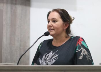 Joice Dillenburg Foto Camara de Vereadores