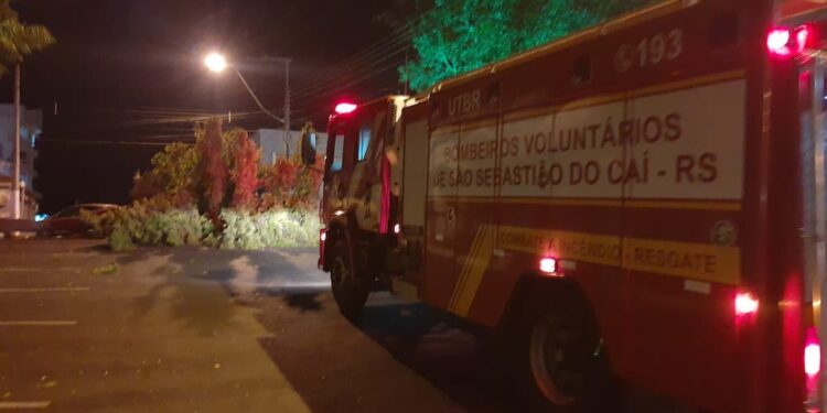 2604 Temporal Sao Sebastiao do Cai 1