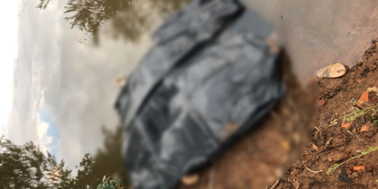 1105 Sao Leopoldo Guarda Civil de Sao Leopoldo 1