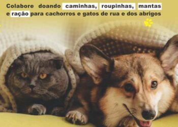 ea79c008 4162 4c5b b187 6b8e9a819dc2