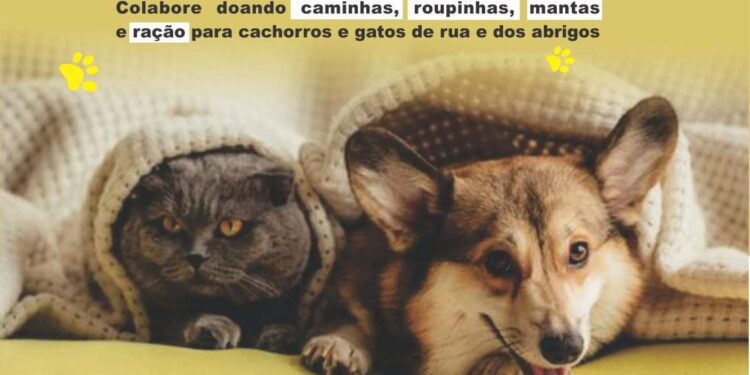 ea79c008 4162 4c5b b187 6b8e9a819dc2