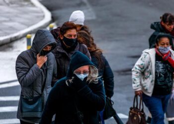 Foto Alex Rocha PMPA