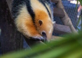 Screenshot at Jul 15 11 37 20