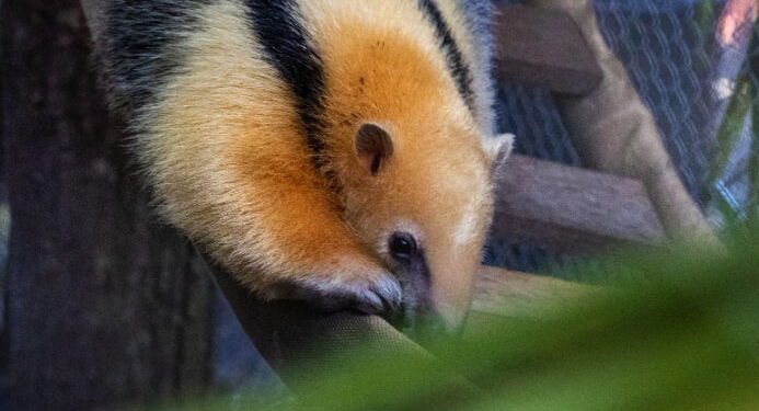 Screenshot at Jul 15 11 37 20