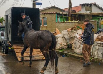 Screenshot at Jul 15 11 48 57