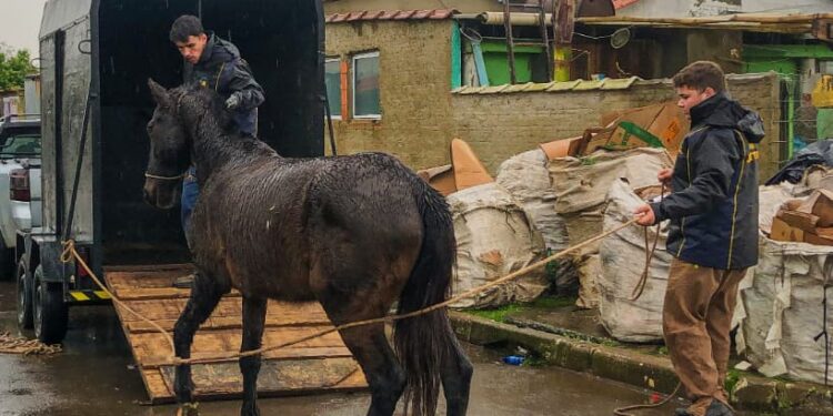 Screenshot at Jul 15 11 48 57