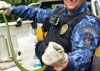 Grupamento Sao Leopoldo