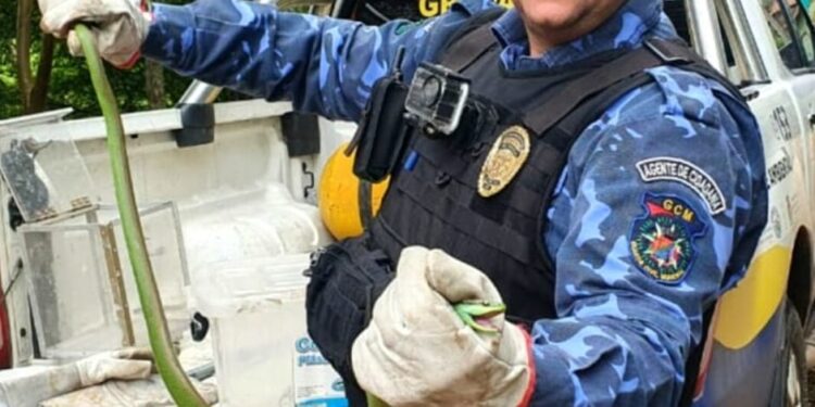 Grupamento Sao Leopoldo