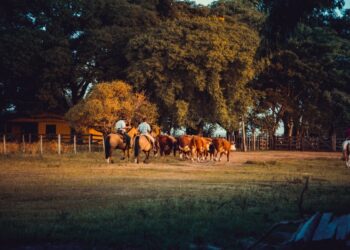 Prefeitura de Uruguaiana