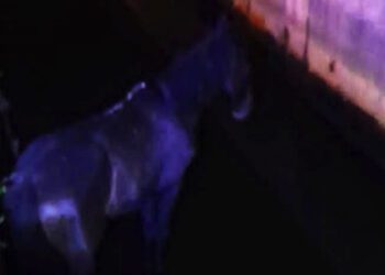 Screenshot at Aug 08 10 30 35