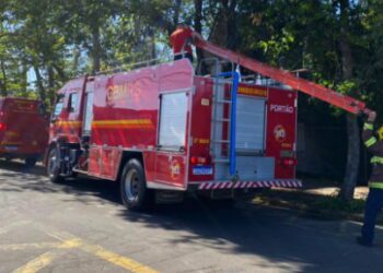 Screenshot at Aug 19 10 42 07