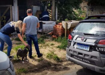 Screenshot at Aug 26 16 16 32