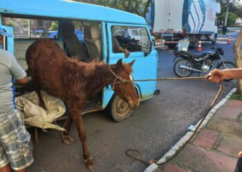 Screenshot at Aug 31 10 48 03