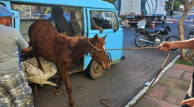 Screenshot at Aug 31 10 48 03