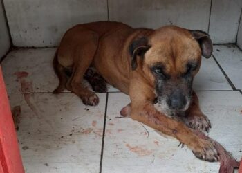 WhatsApp Image 2022 08 17 at 22.06.34