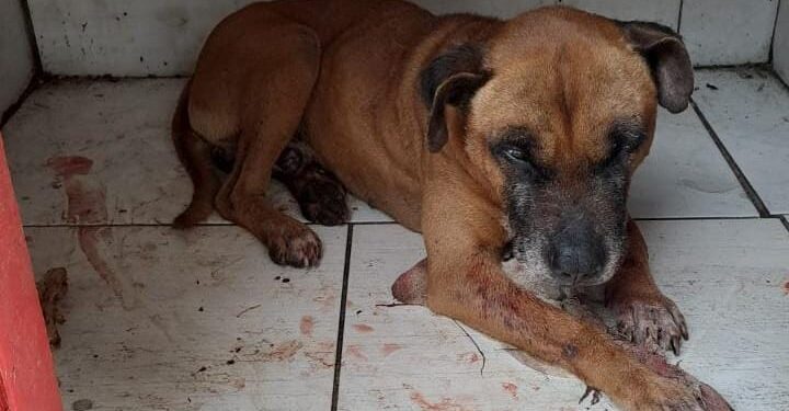 WhatsApp Image 2022 08 17 at 22.06.34