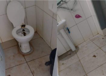 Banheiro Portao Foto Alexsandro Argenta