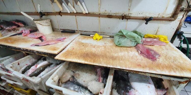 Pescados Apreendidos no Mercado Publico