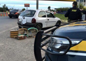 Screenshot at Sep 12 10 03 50