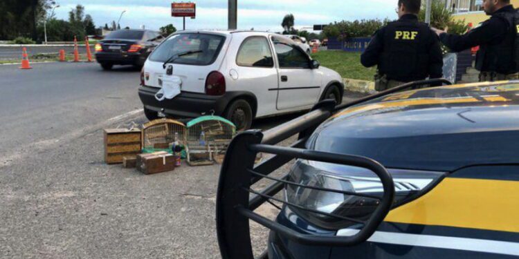 Screenshot at Sep 12 10 03 50