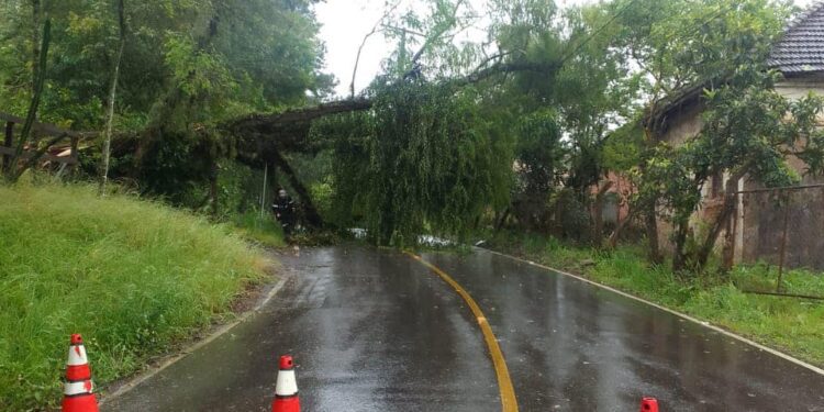 3110 Bombeiros de Sao Sebastiao do Cai e1667230919313