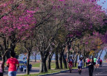 Screenshot at Oct 03 09 20 12