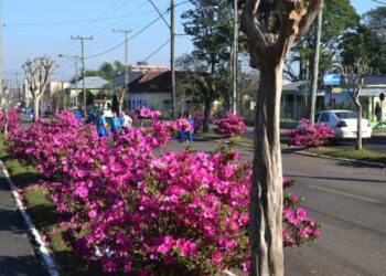 Screenshot at Oct 04 09 19 52