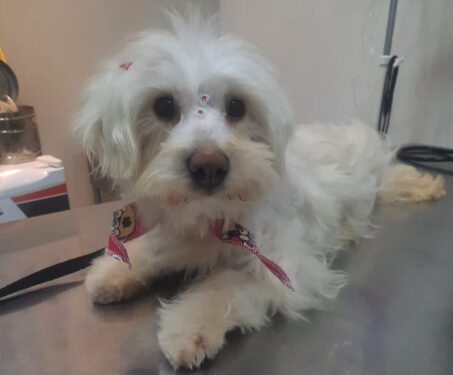 Screenshot at Oct 17 12 06 07