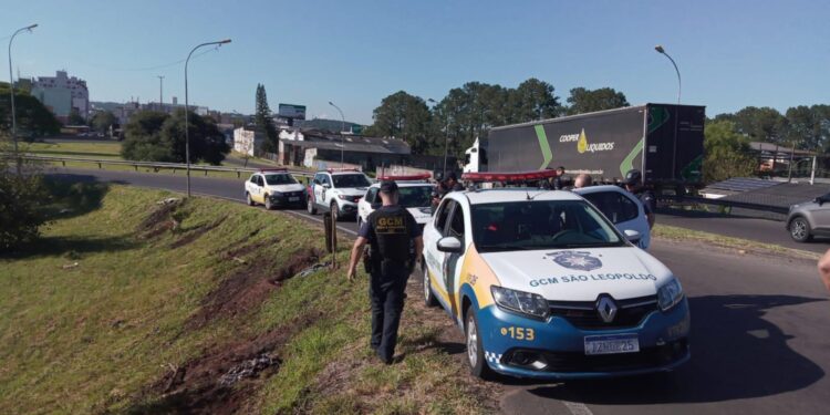 2611 Divulgacao e1669465192100