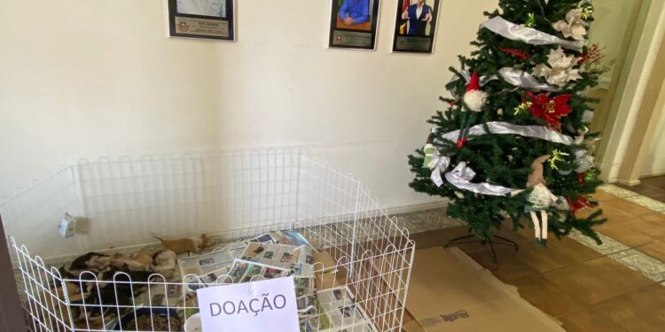 0712 Prefeitura Doacao Animais