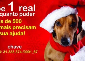 0812 UPAP e1670527493100