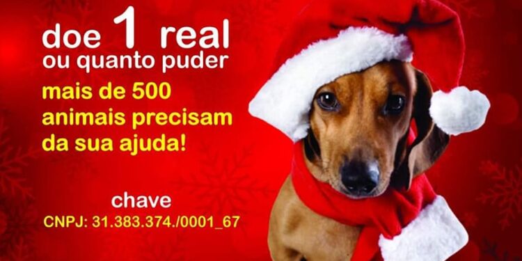 0812 UPAP e1670527493100