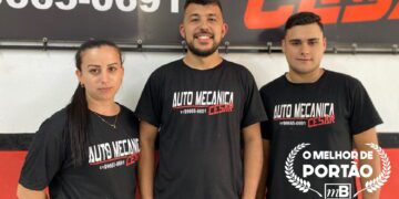 Mecanica Cesar SITE