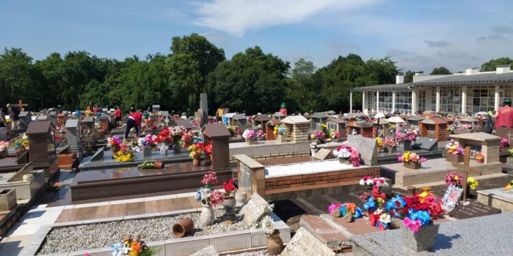 mutirão de limpeza em estância velha