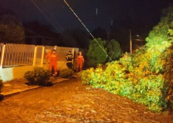 2502 Bombeiros de Sao Sebastiao do Cai e1677374108784
