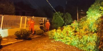 2502 Bombeiros de Sao Sebastiao do Cai e1677374108784
