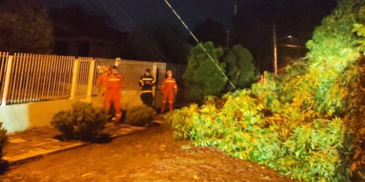 2502 Bombeiros de Sao Sebastiao do Cai e1677374108784