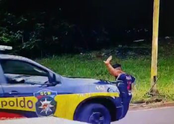 2502 Foto Reproducao