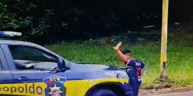 2502 Foto Reproducao