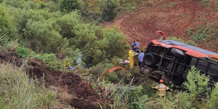 2602 Foto CRBM Divulgacao